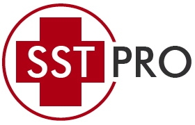 FORMATION SST par SSTPRO Sauveteur Secouriste du Travail